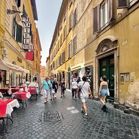 Ych-butterfly Flat Close Trevi Fountain